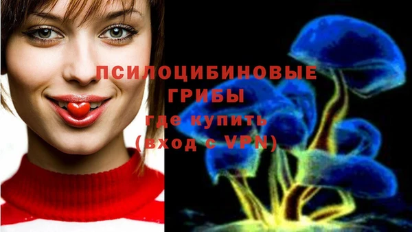 mdpv Богданович