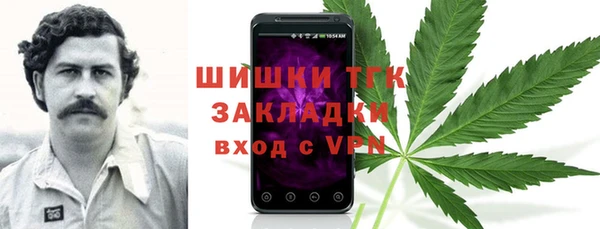 apvp Богородицк