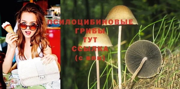 apvp Богородицк