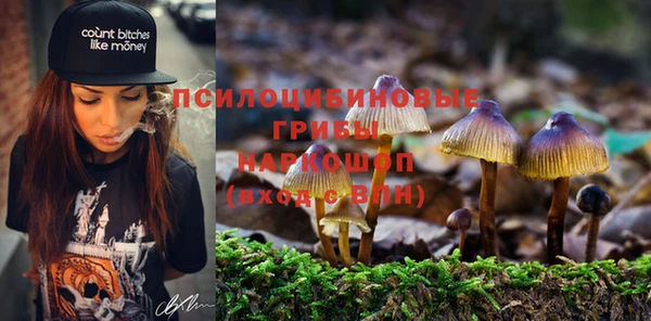 apvp Богородицк