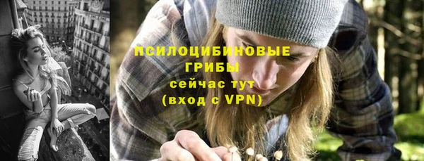 mdpv Богданович