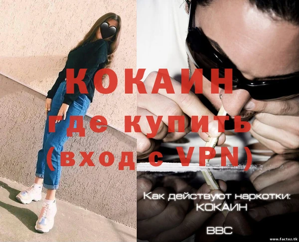 apvp Богородицк