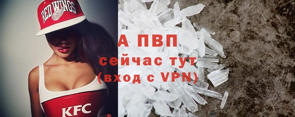 mdpv Богданович