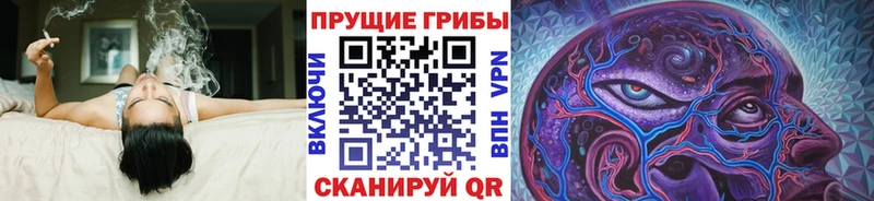 blacksprut зеркало  как найти закладки  Белгород  Галлюциногенные грибы ЛСД 